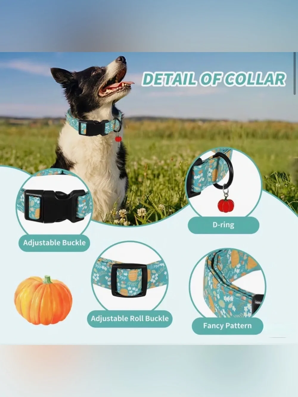 Autumn Thanksgiving Dog Collar w/pumpkin charm. Various Adjustable Sizes.